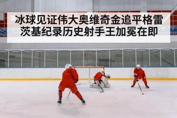 ice hockey goal